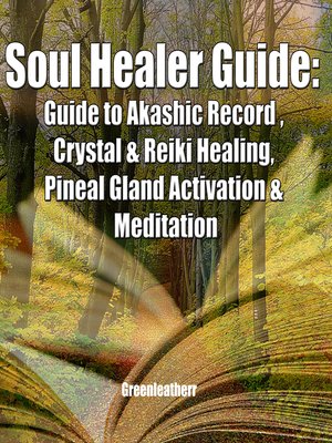 cover image of Soul Healer Guide